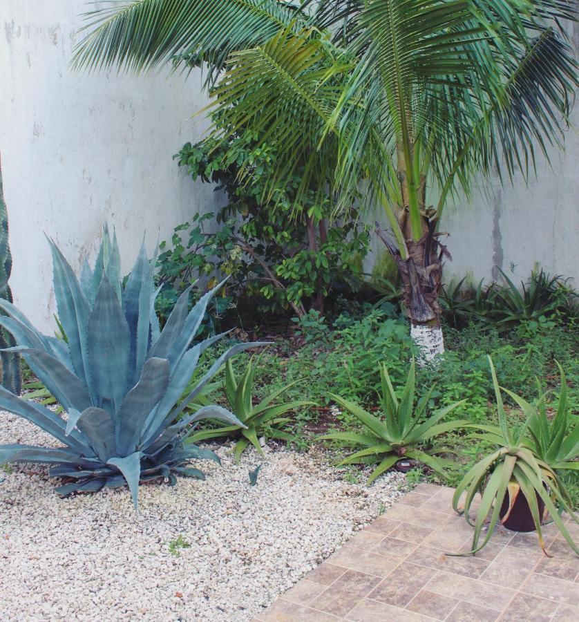 Rooms In Cancun Airport المظهر الخارجي الصورة